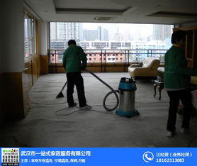 汉阳地毯清洗 单位地毯清洗公司 一站式家政服务 优质商家